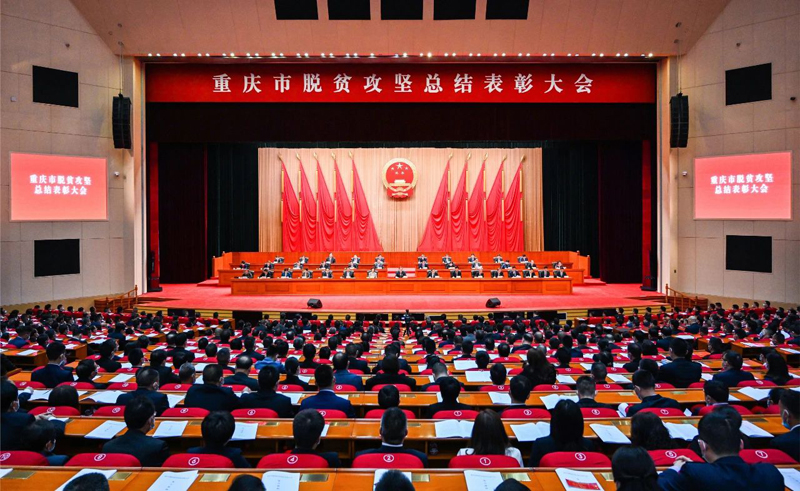 lxFV_1654655801272006225.jpg 1.jpg