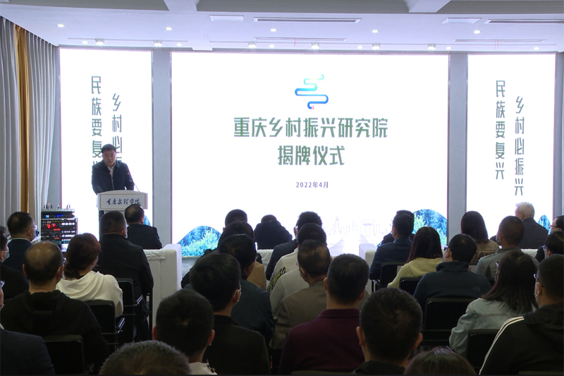 zgus_1654655084943028747.jpg 1.jpg