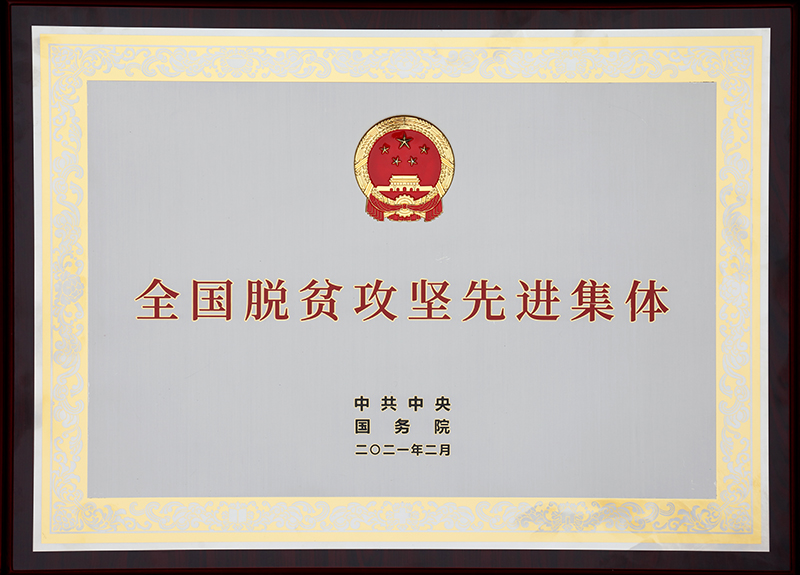 bAYt_1655367383902056075.jpg 1.jpg