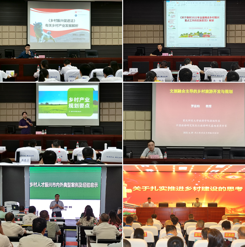 SEkW_1656981701464006847.jpg 2.jpg