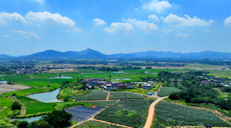 bapP_1759026090595035458.jpg 3.jpg