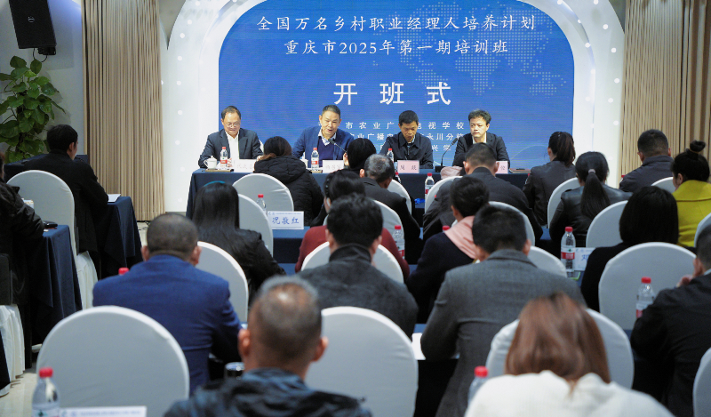 mWqh_1762847730639000333.png 11.png